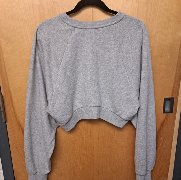 Cropped Gray Crewneck - Picture 2 of 3